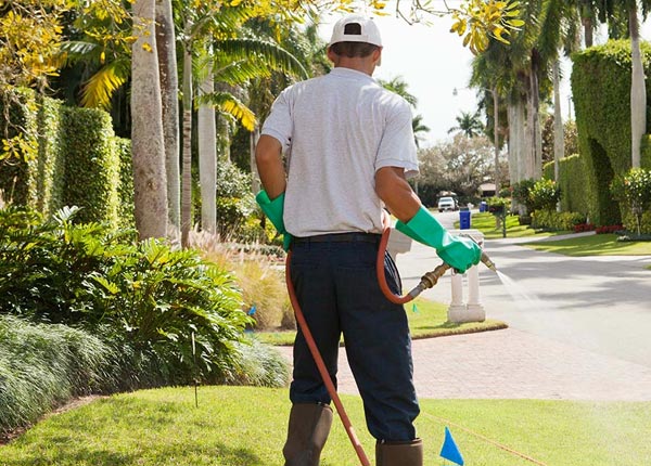 About Cataldo ID Pest Control Pros